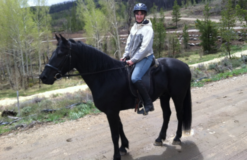 trail riding on the gelding