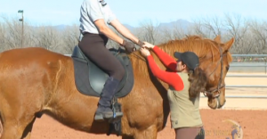 Horse Master with Julie Goodnight