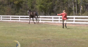 Horse Master with Julie Goodnight
