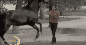 Horse Master with Julie Goodnight