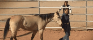 Horse Master with Julie Goodnight