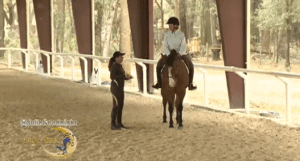 Horse Master with Julie Goodnight