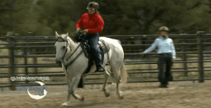 Horse Master with Julie Goodnight