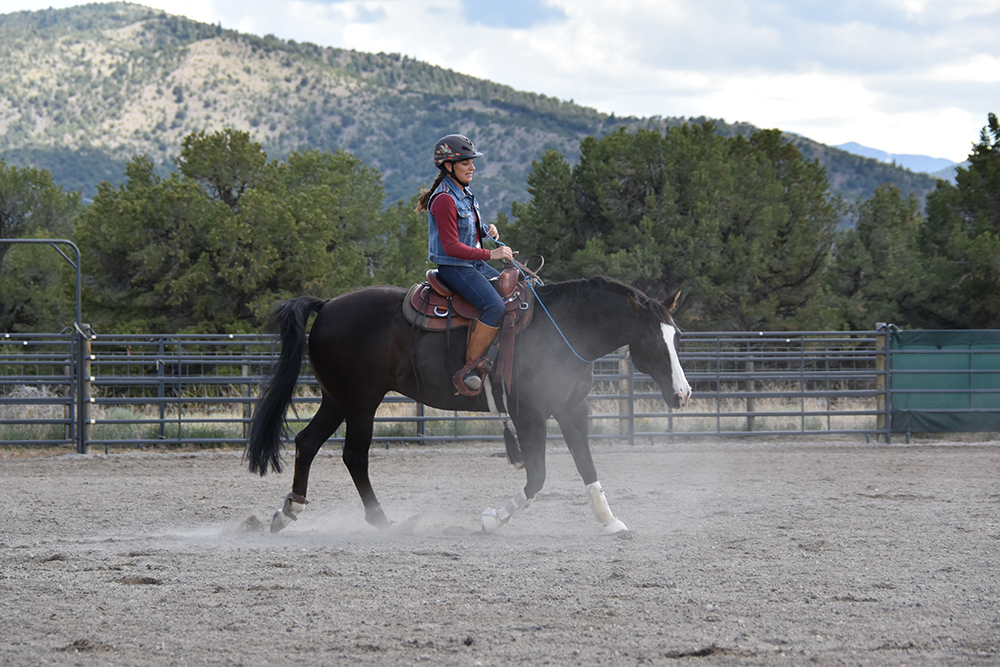 Julie riding Dually bridleless with a neck rope.