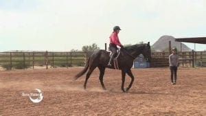 episode 918 collection at the canter