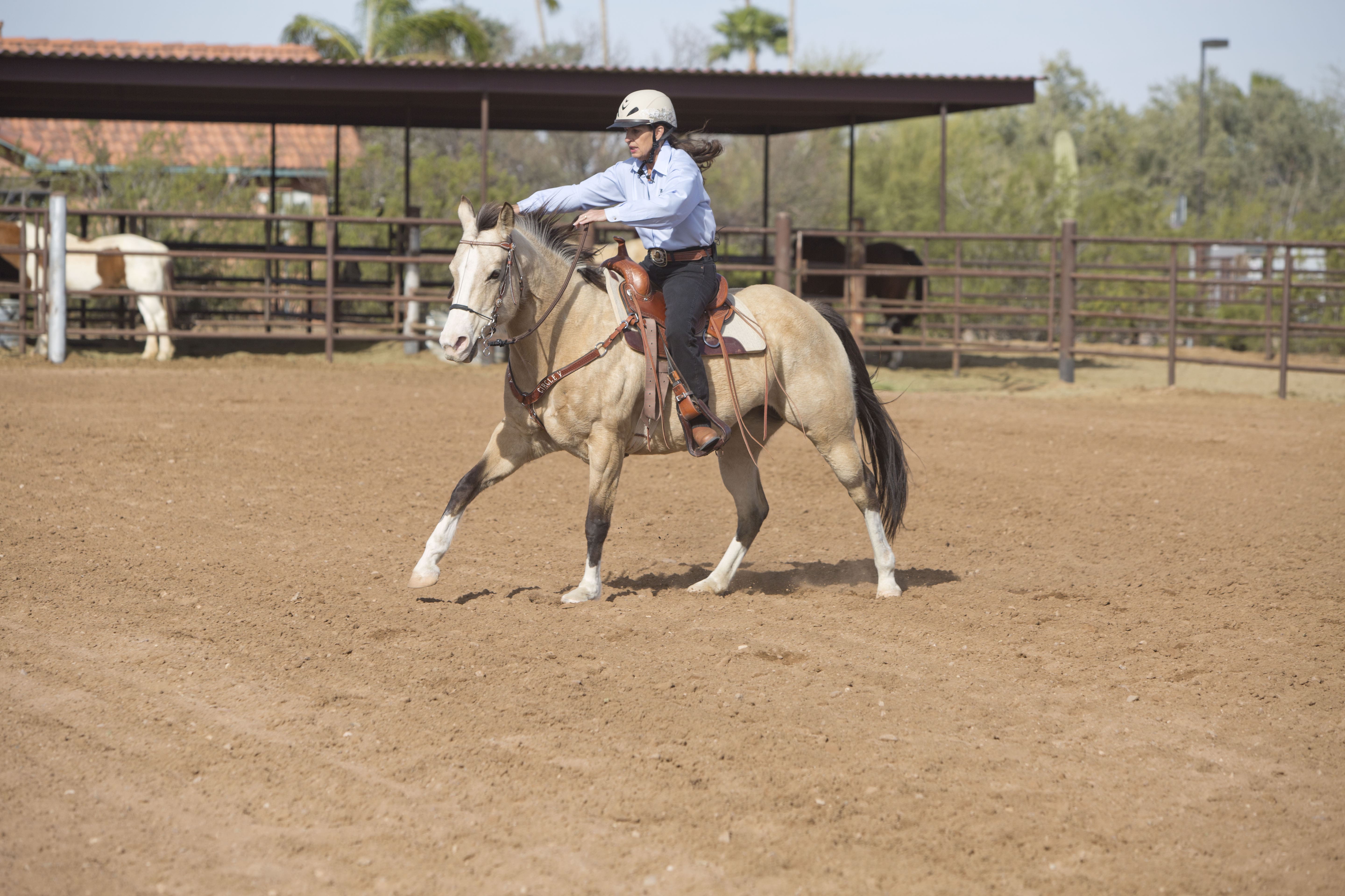 horse cantering