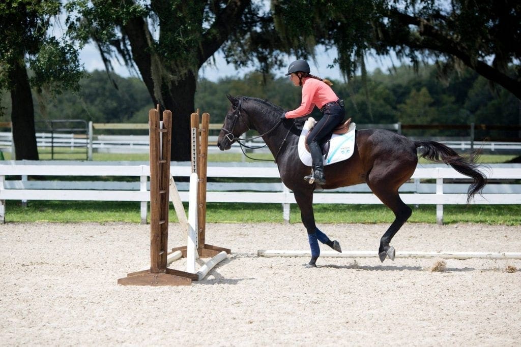 In Florida, Julie encourages this experienced horse to take jumps confidently—even in new places.  Photo by: The Whole Picture, LLC.