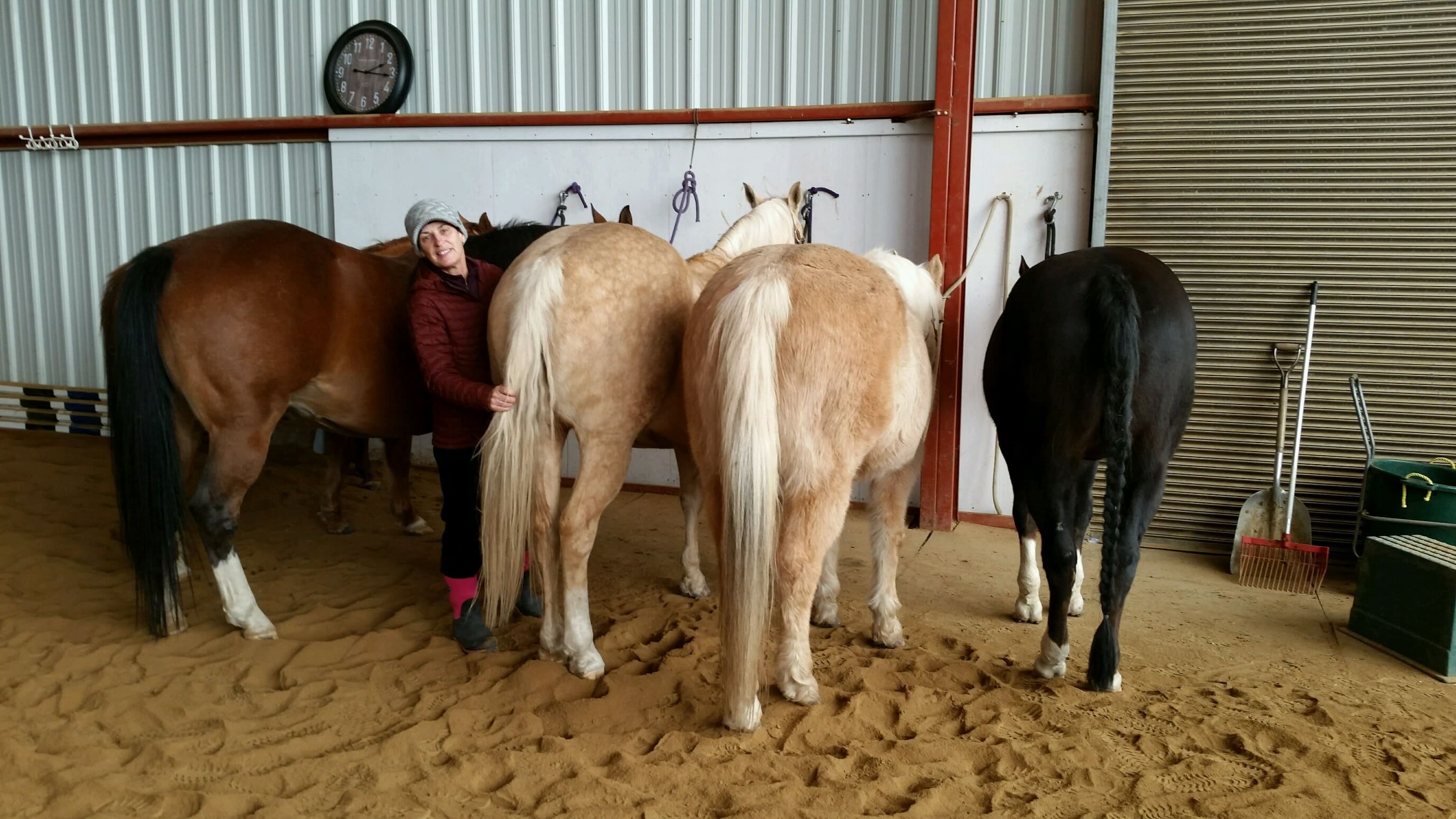 Julie with her horses in the indoor arena