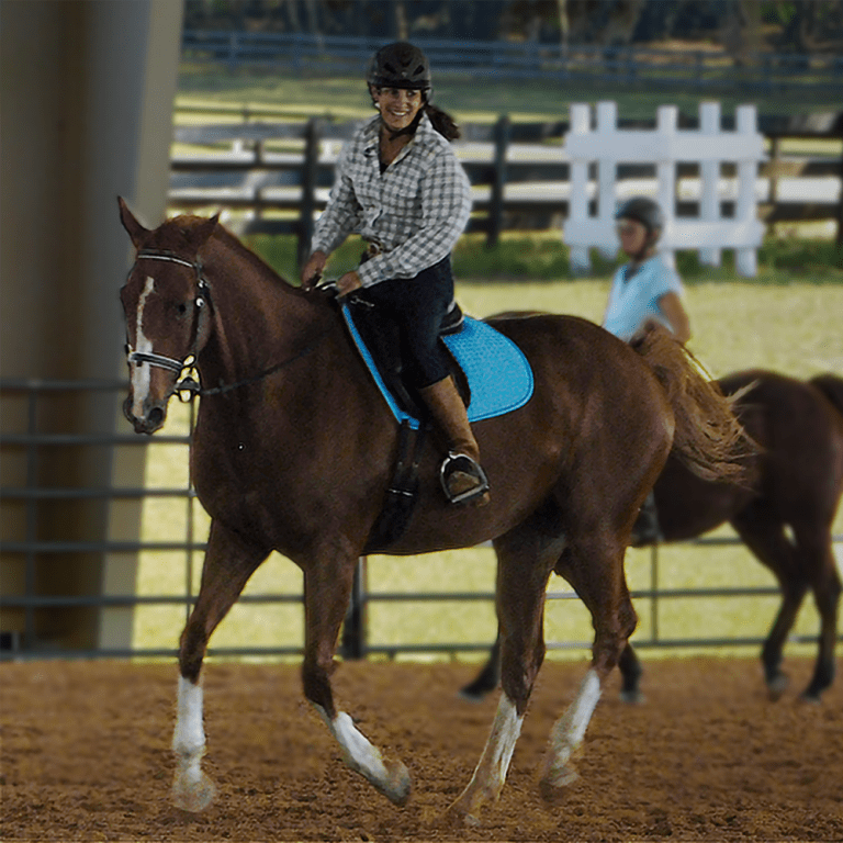 joy-2-ride-top-ten-qualities-of-my-ideal-riding-horse-julie-goodnight-academy