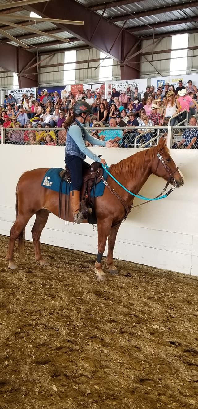 Adversarial Relationships with Horses