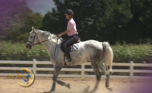 Horse Master with Julie Goodnight