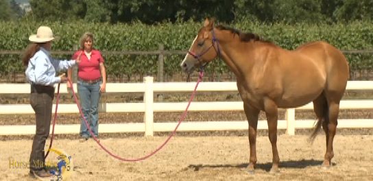 Horse Master with Julie Goodnight