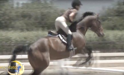 Horse Master with Julie Goodnight