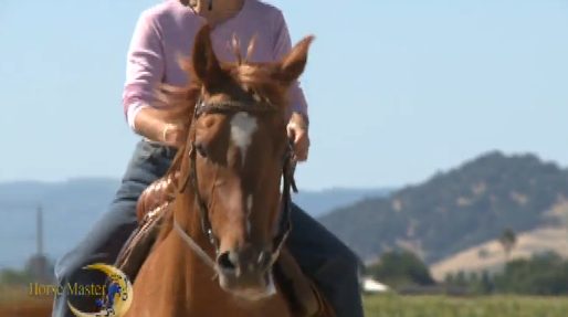 Horse Master with Julie Goodnight