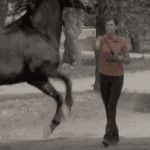 Horse Master with Julie Goodnight