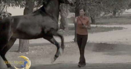 Horse Master with Julie Goodnight