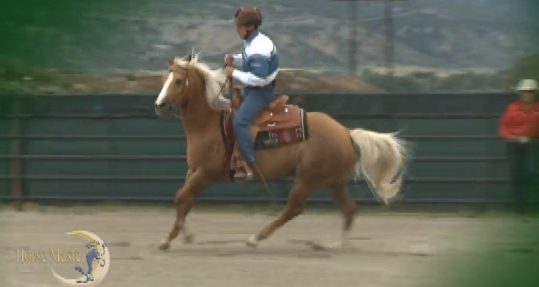 Horse Master with Julie Goodnight