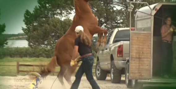Horse Master with Julie Goodnight