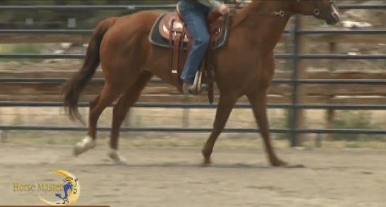 Horse Master with Julie Goodnight