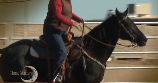 Horse Master with Julie Goodnight