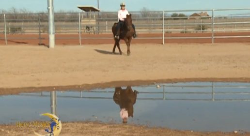 Horse Master with Julie Goodnight