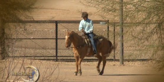 Horse Master with Julie Goodnight