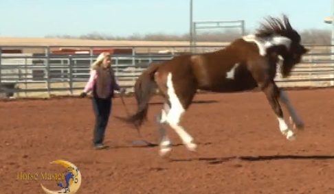 Horse Master with Julie Goodnight