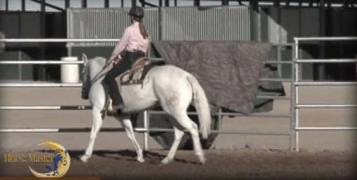 Horse Master with Julie Goodnight