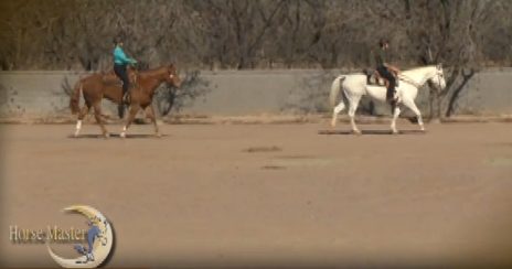 Horse Master with Julie Goodnight
