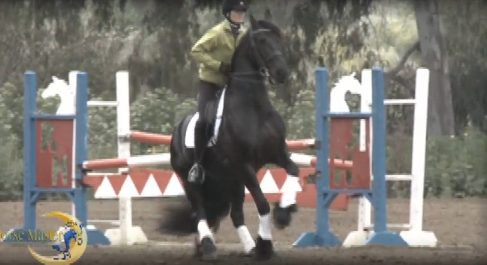 Horse Master with Julie Goodnight