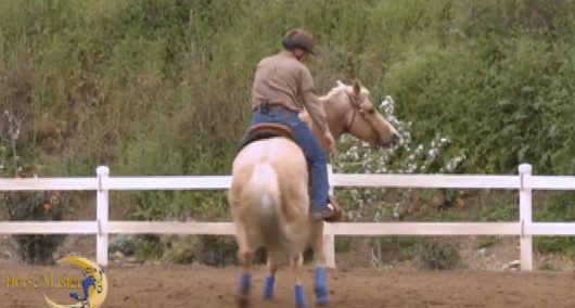 Horse Master with Julie Goodnight