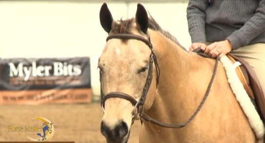 Horse Master with Julie Goodnight