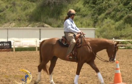 Horse Master with Julie Goodnight