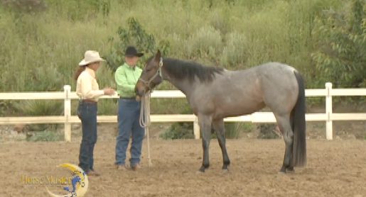 Horse Master with Julie Goodnight