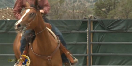 Horse Master with Julie Goodnight
