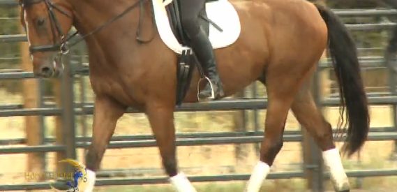 Horse Master with Julie Goodnight