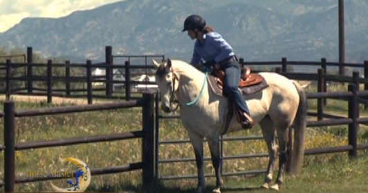 Horse Master with Julie Goodnight