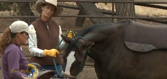 Horse Master with Julie Goodnight