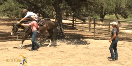Horse Master with Julie Goodnight