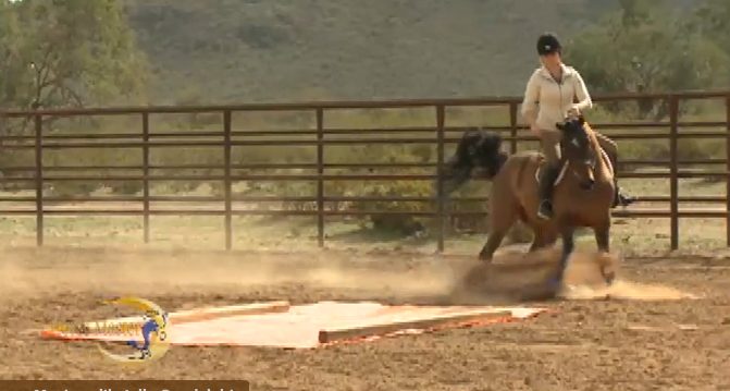 Horse Master with Julie Goodnight