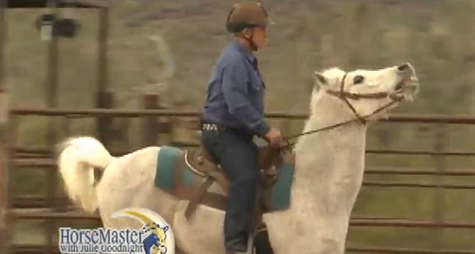 Horse Master with Julie Goodnight