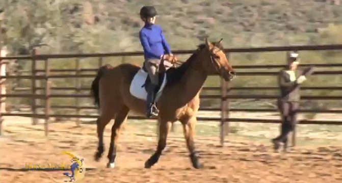 Horse Master with Julie Goodnight