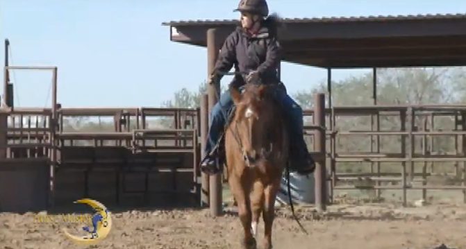 Horse Master with Julie Goodnight