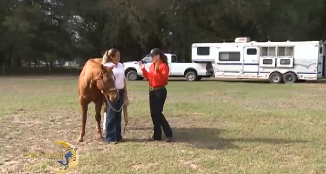 Horse Master with Julie Goodnight