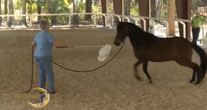 Horse Master with Julie Goodnight