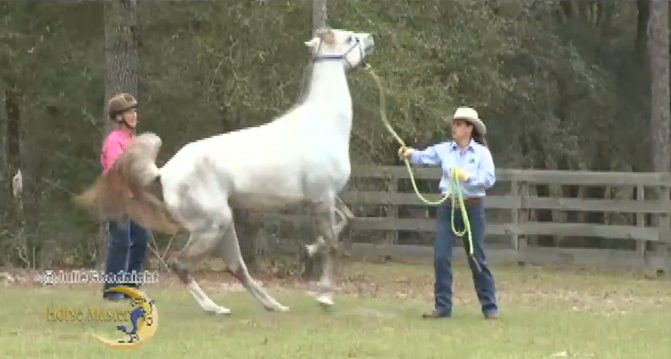 Horse Master with Julie Goodnight