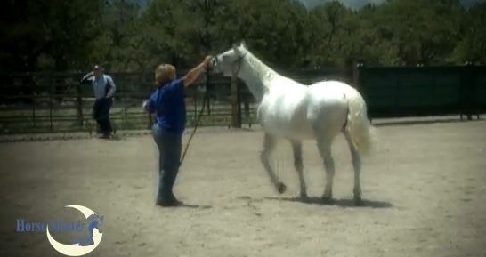 Horse Master with Julie Goodnight