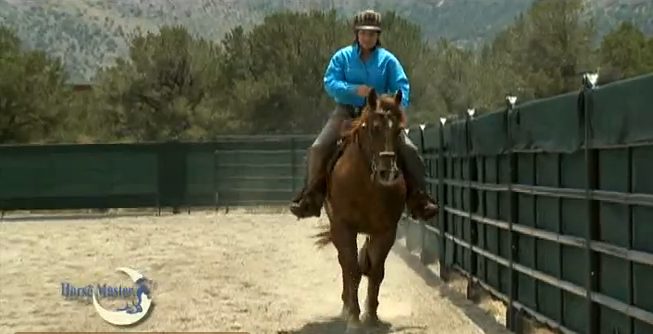 Horse Master with Julie Goodnight