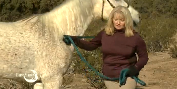 Horse Master with Julie Goodnight