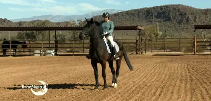 Horse Master with Julie Goodnight